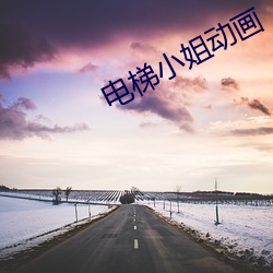 电梯小(小)姐(姐)动画