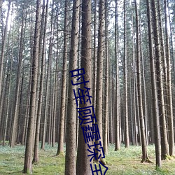 时笙顾霆琛全文免费阅读