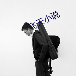 飛天小說
