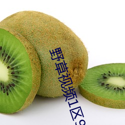 野草视频1区91