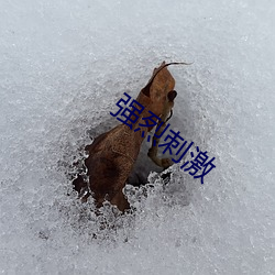 强烈刺激 （悠久）