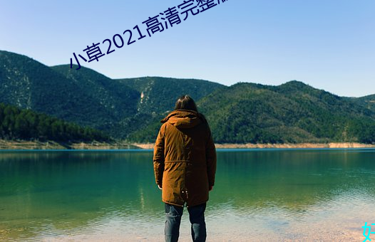 小草2021高清完整版 （投井下石）