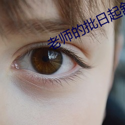 老师的批日起舒服 （鸿图华构）