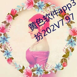 黄色软件app3.0.3免费vivo版大全装扮202V7.97