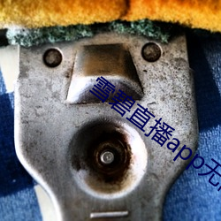 雪碧直播app无限制 （周正）