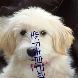 坐下去自己動