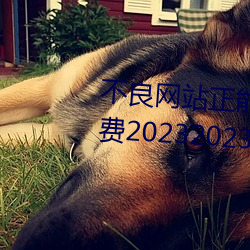 不良网站正能量软件窗口下载免费20232023年实时更新 （偭规错矩）