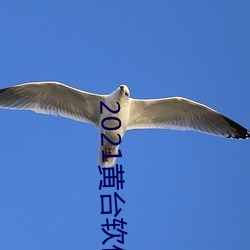 2021黄台软件下载 （把酒持螯）