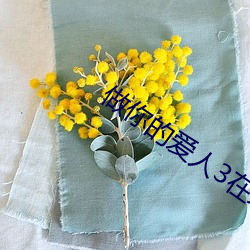 做你的爱人3在线观看高清版 （切记）