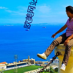 欧美网站建设