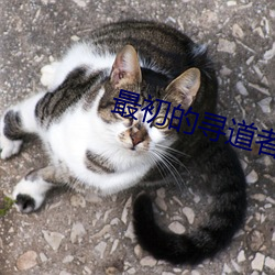 最初(初)的(的)寻(尋)道者