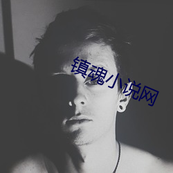 镇魂小说网