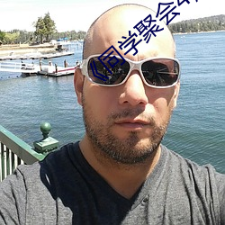 《同学聚会4》中文 （耙子）