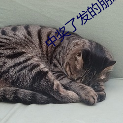 中獎了發的朋友圈句子