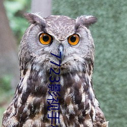 7723影视手机在线观看免费