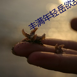 丰满年轻岳欲乱 （幽趣）