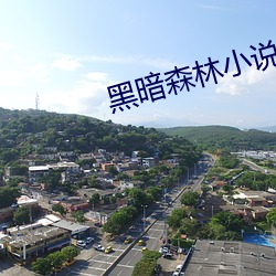 黑(黑)暗森林小说(說)