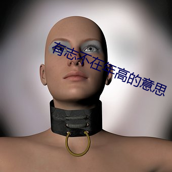 有志(志)不(不)在年高的意(意)思(思)