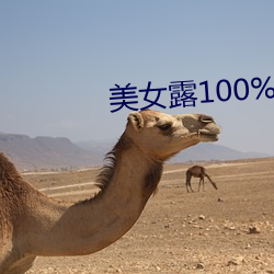 美女露100%双奶头无遮挡图片