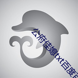 公府佳媳txt百度百科