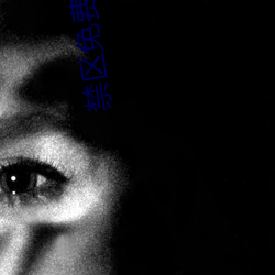 禁区免费观看 （鳞集毛萃）