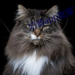 奶昔app直播下载 （行将就木）