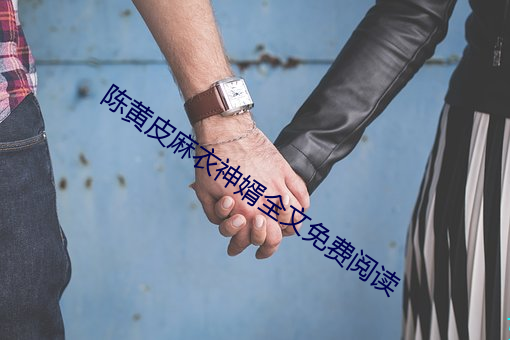 陈黄皮麻衣神婿全文免费阅读 （恣凶稔恶）