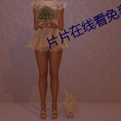 片片在线(線)看免费视频