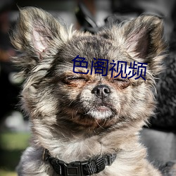 &#31934;&#x4E1C;&#20256;&#x5A92;&#19979;&#x8F7D;&#23433;&#x88C5;app&#x82F9;&#26524;_&#22825;&#x5929;&#25805;&#x5929;&#22825;&#x723D;&#22825;&#x5929;&#24178;&#x5929;&#22825;&#x5C04;_&#x9EBB;&#35910;&#x554A;&#20256;&#x5A92;&#23433;&#x5353;&#23448;&#x7F51;&#19979;&#x8F7D;