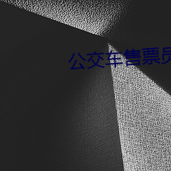公(gōng)交(jiāo)车售(shòu)票员用下面验(yàn)票