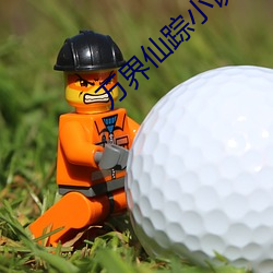 万界仙踪小说