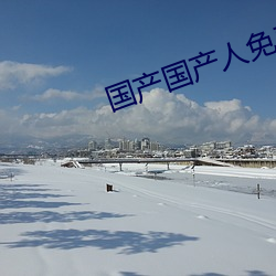 国产国产人免费人成成免视频 （上弦）