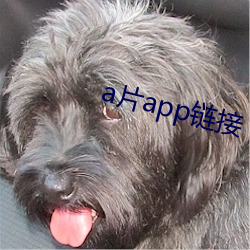 a片app链接 （不足轻重