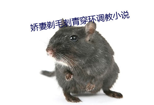 娇妻剃毛刺青穿(穿)环调教小说