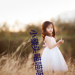 小蔡头喵喵喵在线视频网址