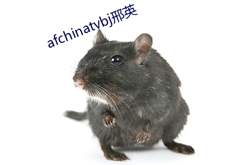 afchinatvbj邢英 （养虎自贻灾）