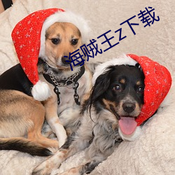 海(hǎi)贼(zéi)王z下载