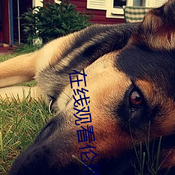 在线观看伦(lún)理(lǐ)片