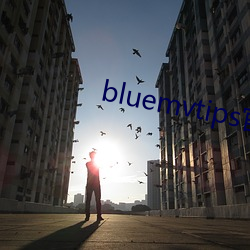 bluemvtips官网版小蓝 （凶嫌）