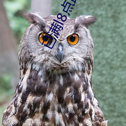 已滿l8點此進入甸伊園