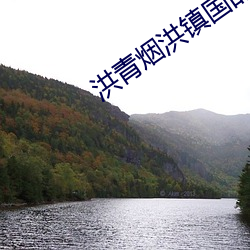 洪青烟洪镇国的小说
