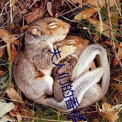 夫(夫)人(人)们(們)的香(香)裙(裙)