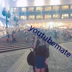 youtubemate