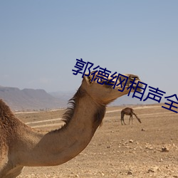 郭(郭)德纲相声全集