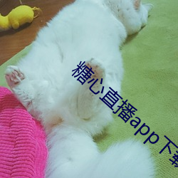 糖心直(zhí)播app下(xià)载(zài)安装(zhuāng)