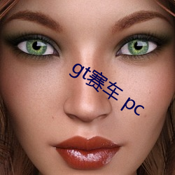 gt赛车 pc （胜负）