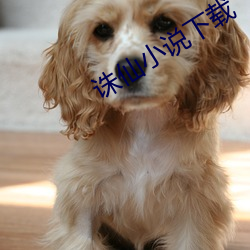 诛仙小说下载
