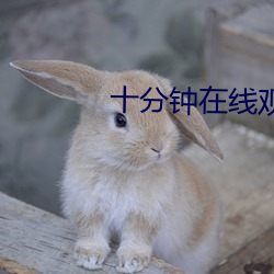 十分钟在线观看