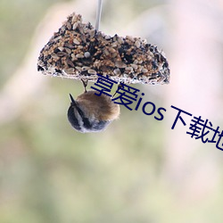享爱ios下载地址