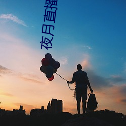 夜月直播间yy55